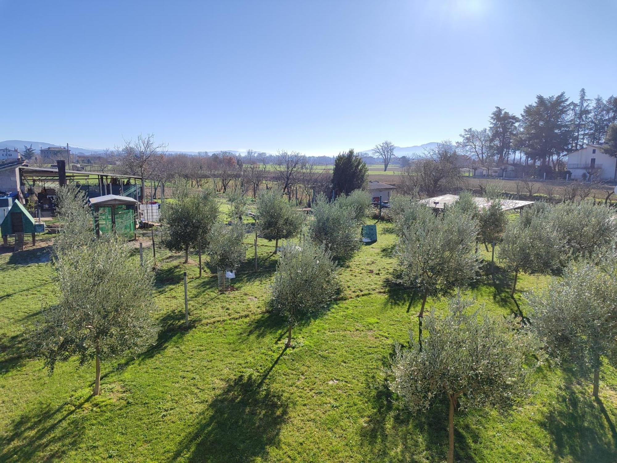 Villa Gaia Truffle Experience Sansepolcro Exterior foto